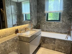 Watten House (D11), Condominium #433368511